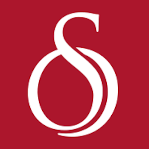 Storyline Logo