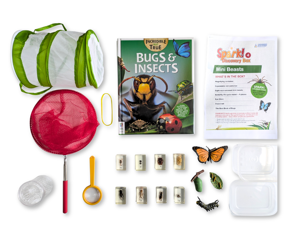 Mini Beasts kit contents laid out on a white background.
