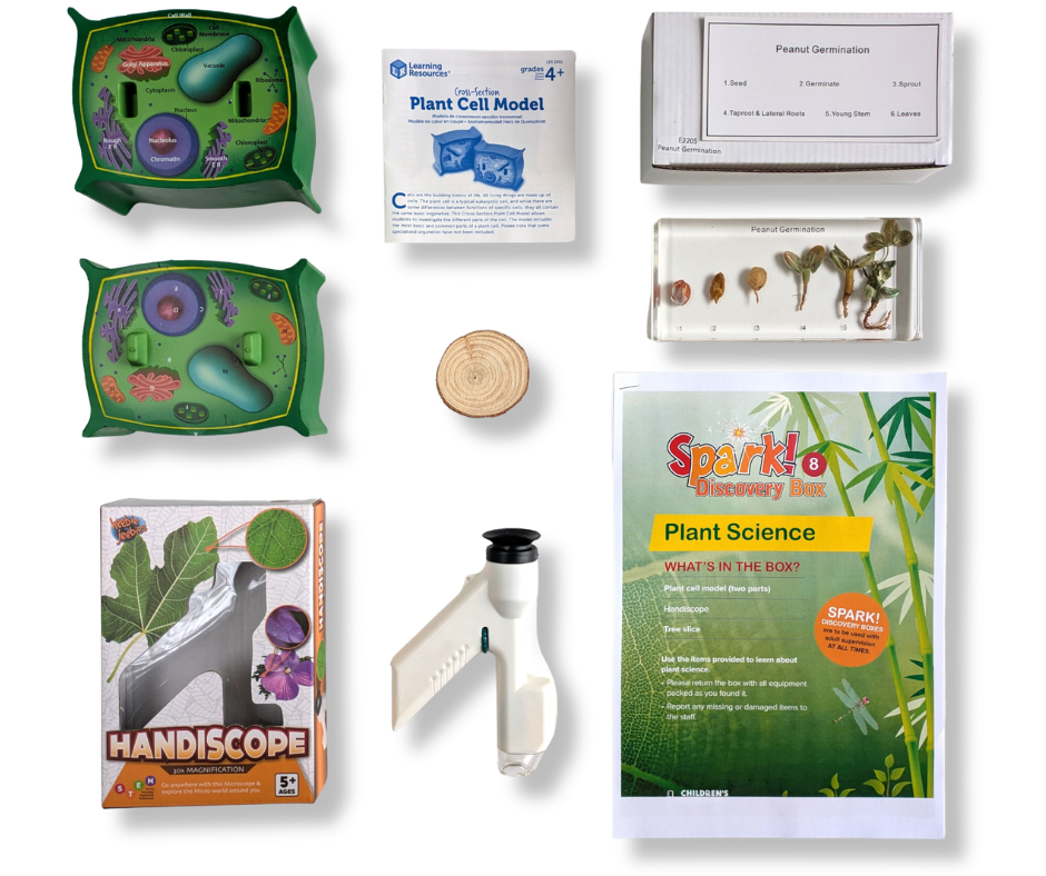 Plant Science kit contents laid out on a white table.